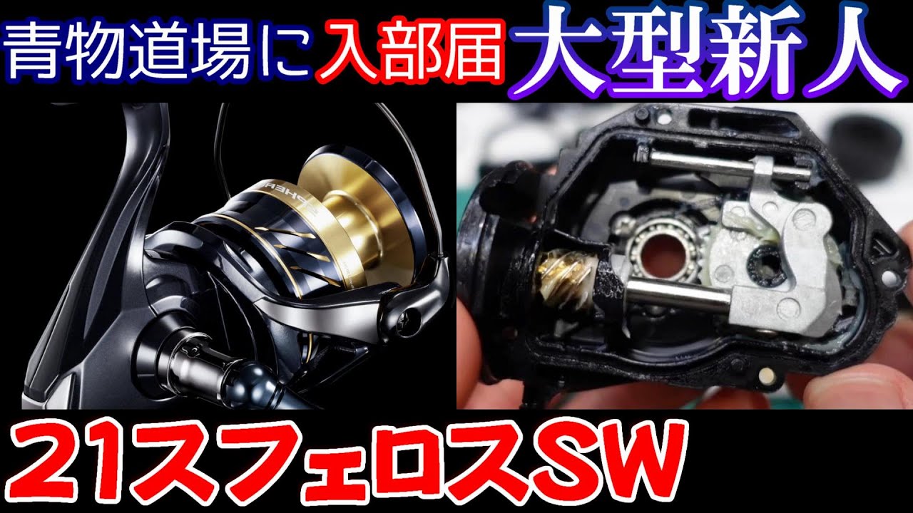 分解】ベアリング追加で上位クラスを食っちゃうエントリー機を徹底解説