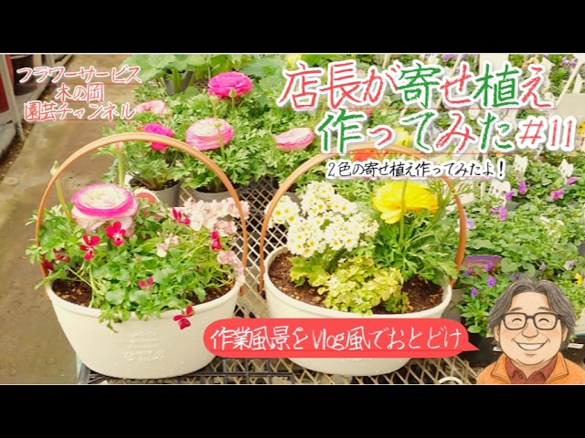 Vlog風】店長が寄せ植えつくってみた♯11 簡単！春の寄せ植え作って