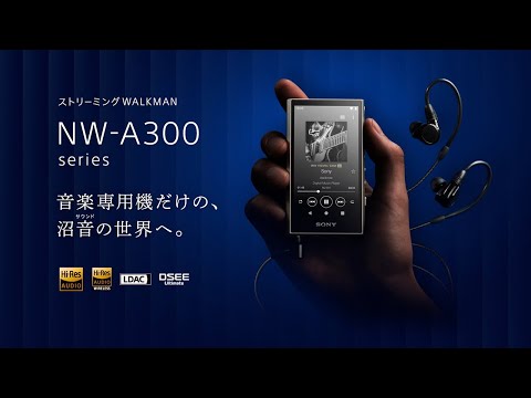 SONY NW-A306 H 新品｜フジヤエービック