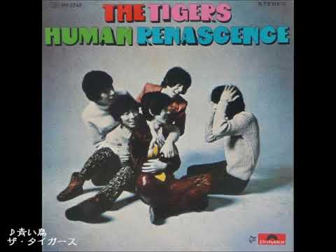 ザ・タイガース The Tigers／青い鳥 The blue bird （1968年） - YouTube