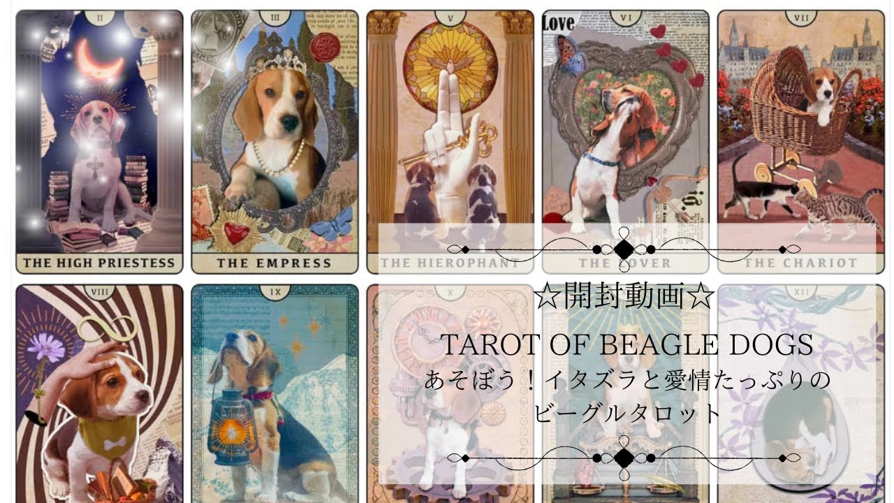 約1〜3日以内の発送お手続き】TAROT OF BEAGLE DOGS ◇ あそぼう