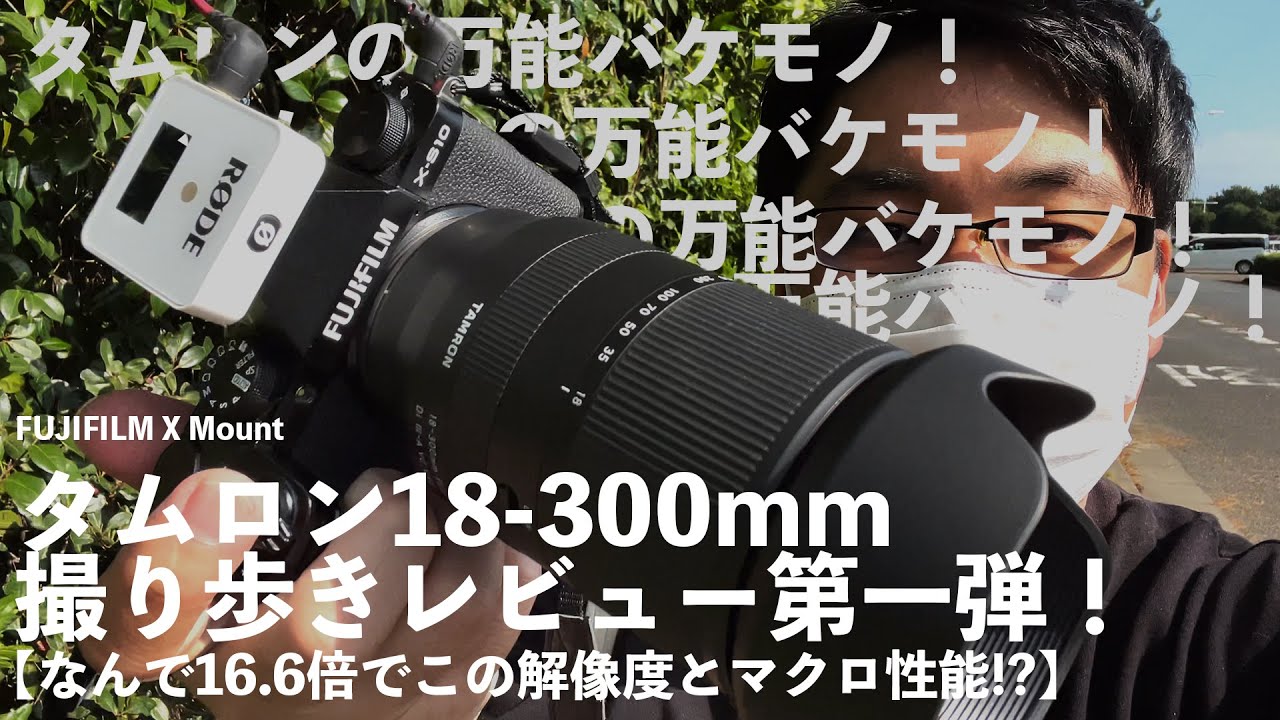 えっ、16.6倍でこの写り!?TAMRON18-300mmF3.5-6.3が高画質でマクロで手