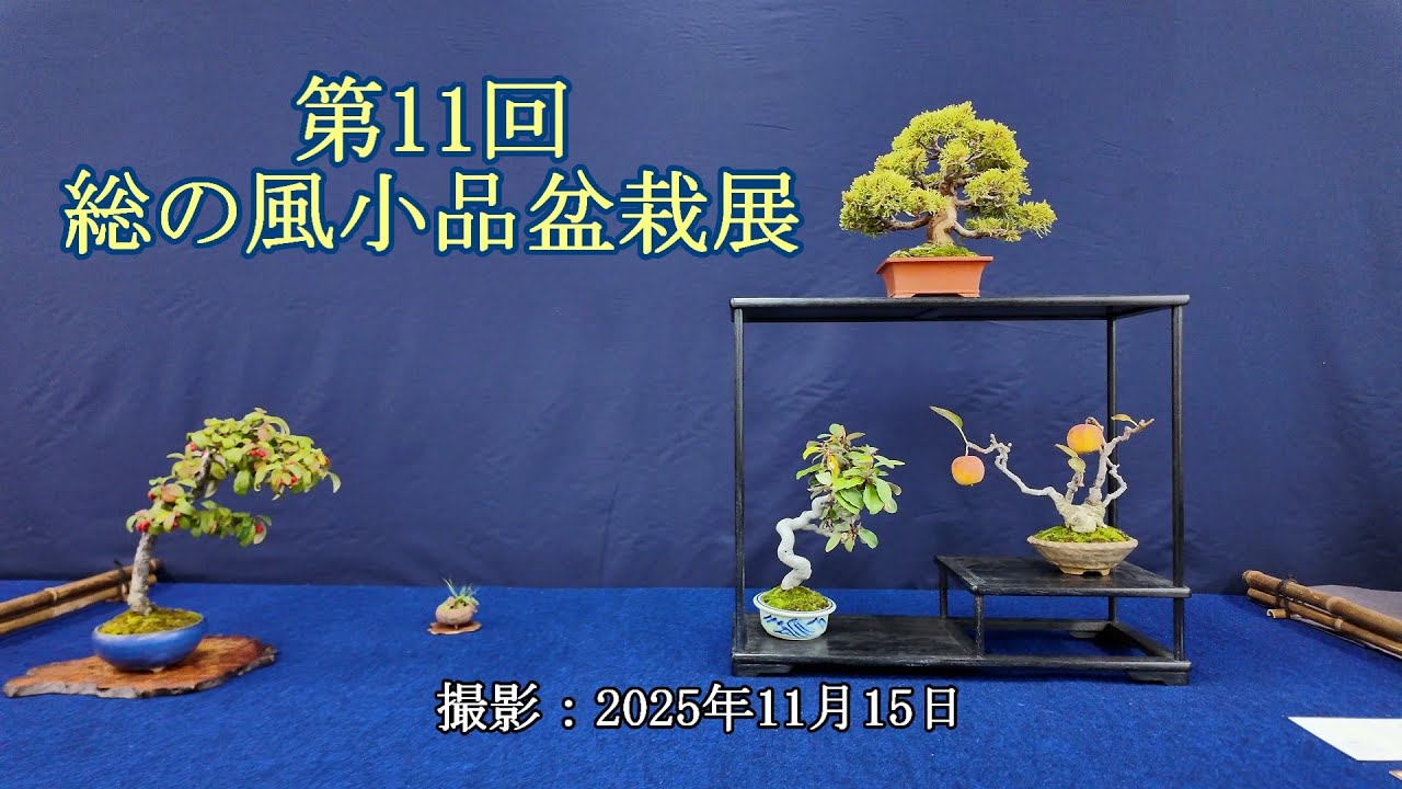 第11回総の風小品盆栽展 = 主催：方丈庵小品盆栽同好会 = [4K] The