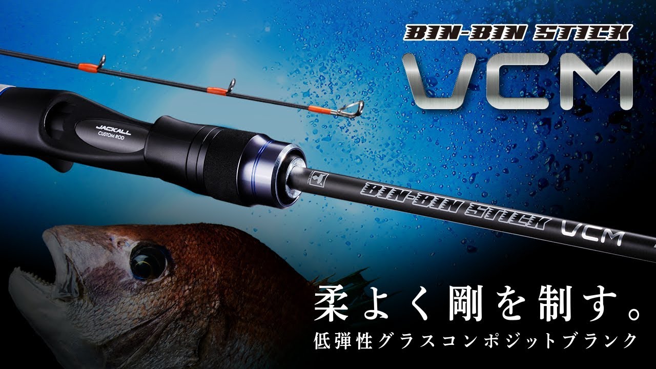 Tairaba] Binbin Stick VCM 2020 model explanation / Ai Tanaka - YouTube