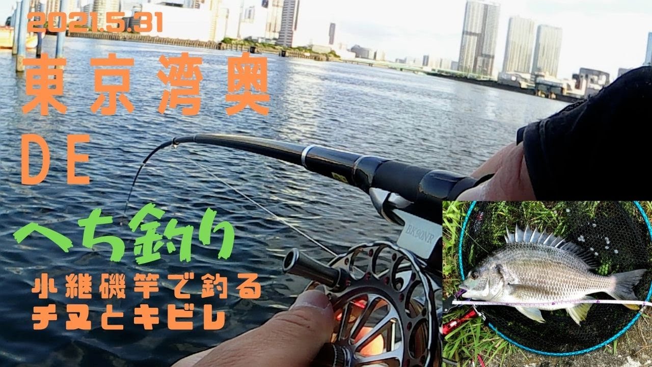 チヌ】東京湾奥でヘチ釣り2021年5月31日【小継磯竿】 - YouTube