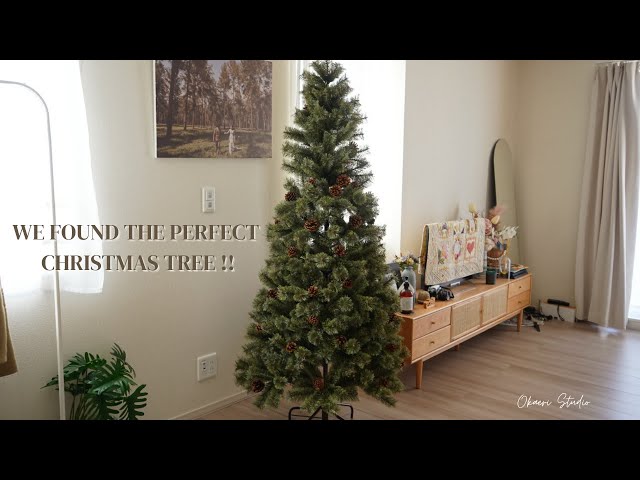 Buying Alsace Christmas Tree | アルザスツリー 180cm 購入