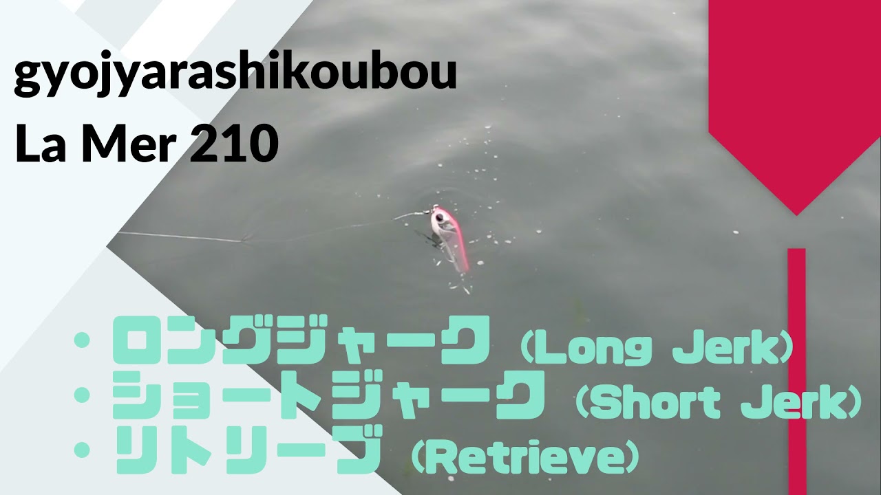 gyojyarashikoubou(魚じゃらし工房) La Mer(ラメール)210 使用インプレ