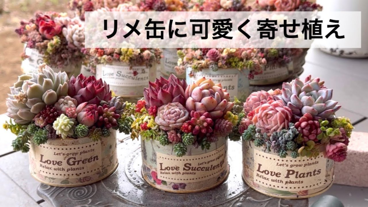 42 【前編】リメ缶に可愛く寄せ植え🌸3パターン - YouTube
