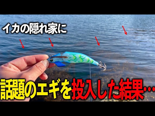 A great result in a short time Testing the fishing power of the