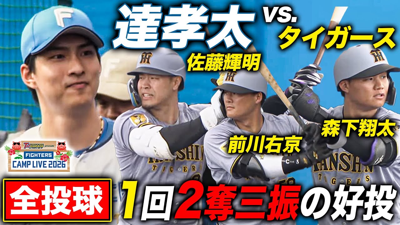 Kota Tatsuta vs. Tigers practice game: Teruaki Sato & Shota