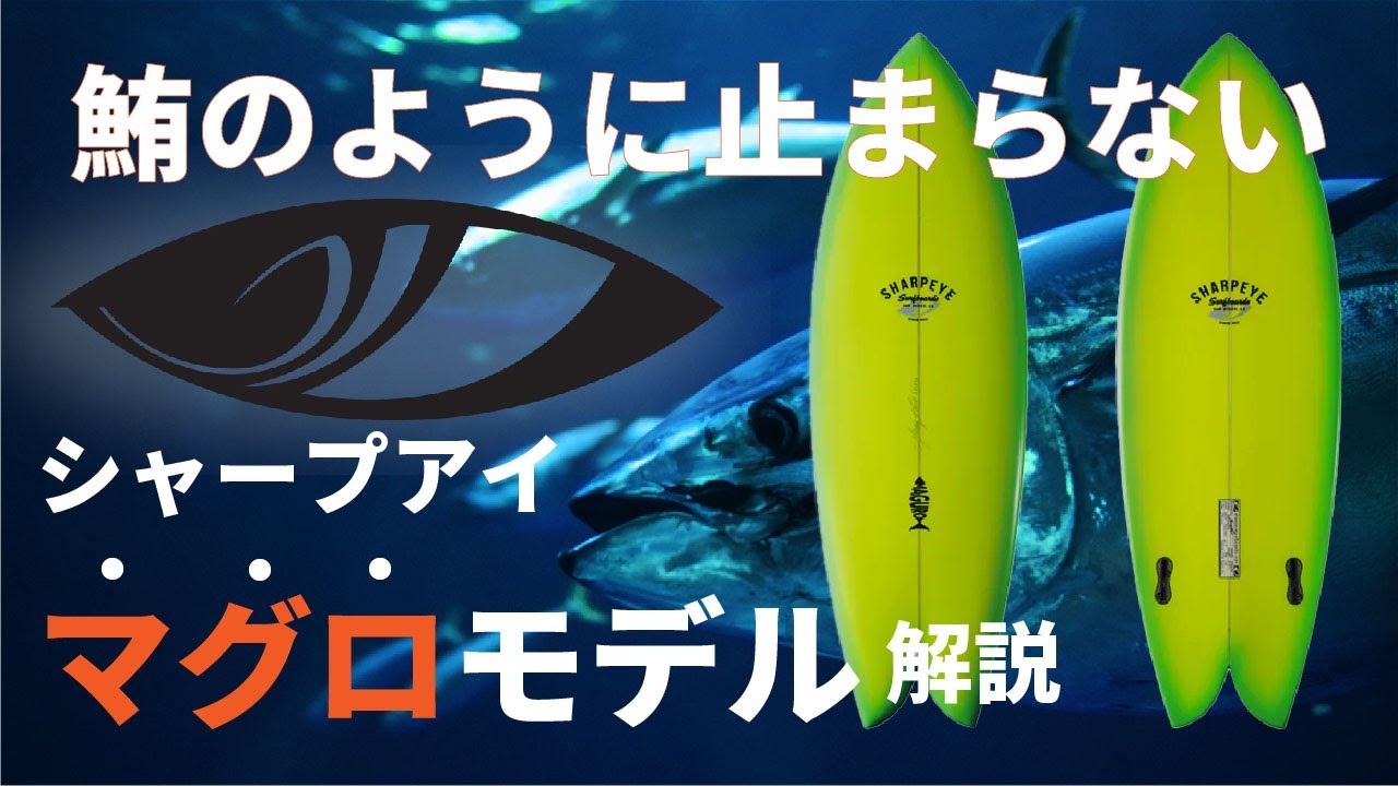 シャープアイ マグロモデル解説 - YouTube