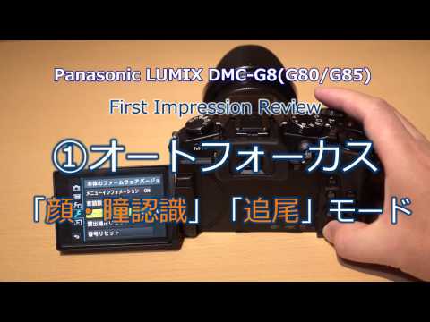 LUMIX G8 検証#1 AF「顔・瞳認識」「追尾」モード / Panasonic DMC-G8