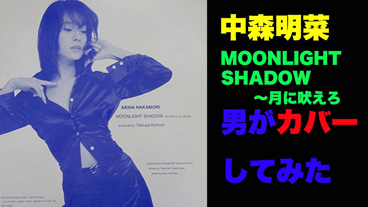 MOONLIGHT SHADOW〜月に吠えろ』 中森明菜 歌ってみた 男 ＃42【歌詞