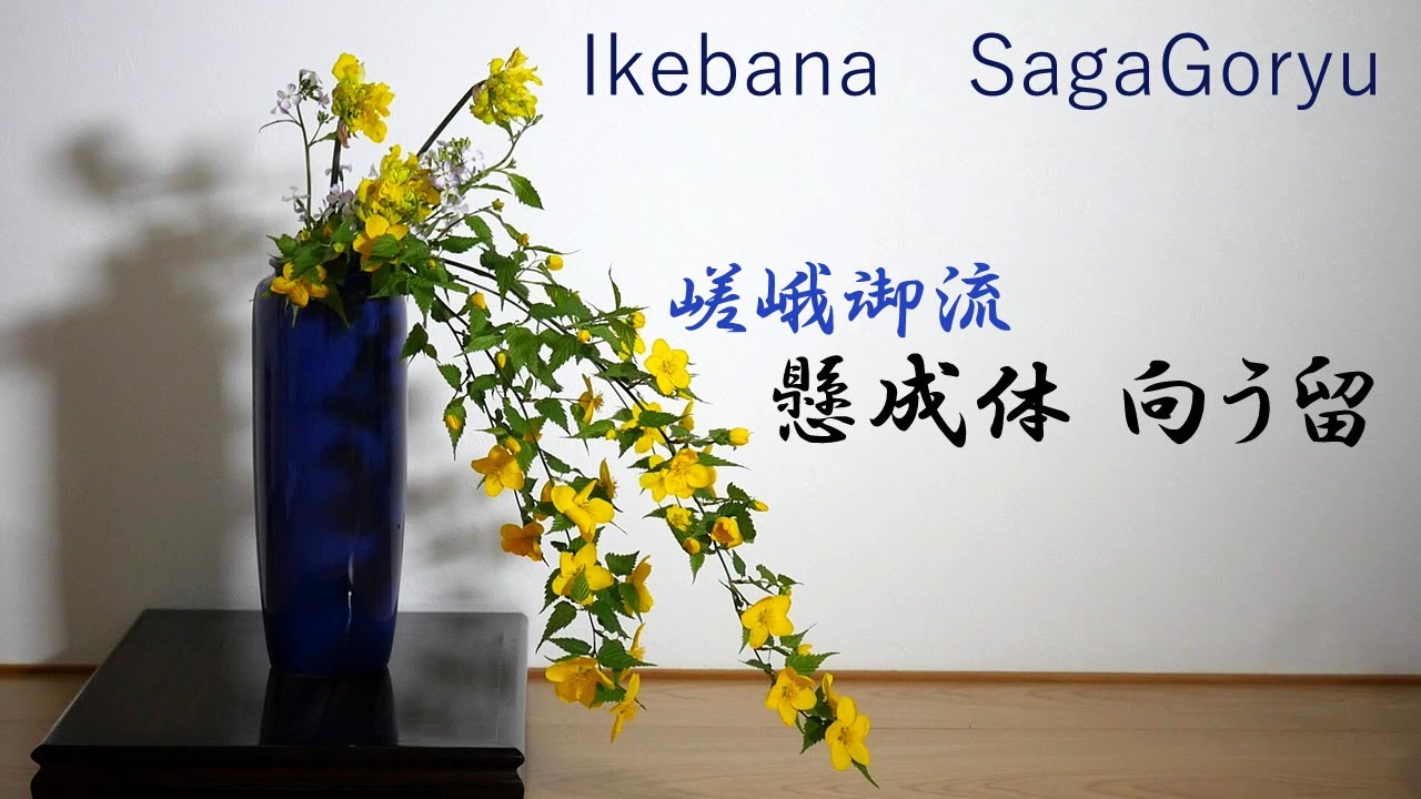 生け花】嵯峨御流・瓶花、懸成体・向う留【ikebana】山吹/八重咲水仙