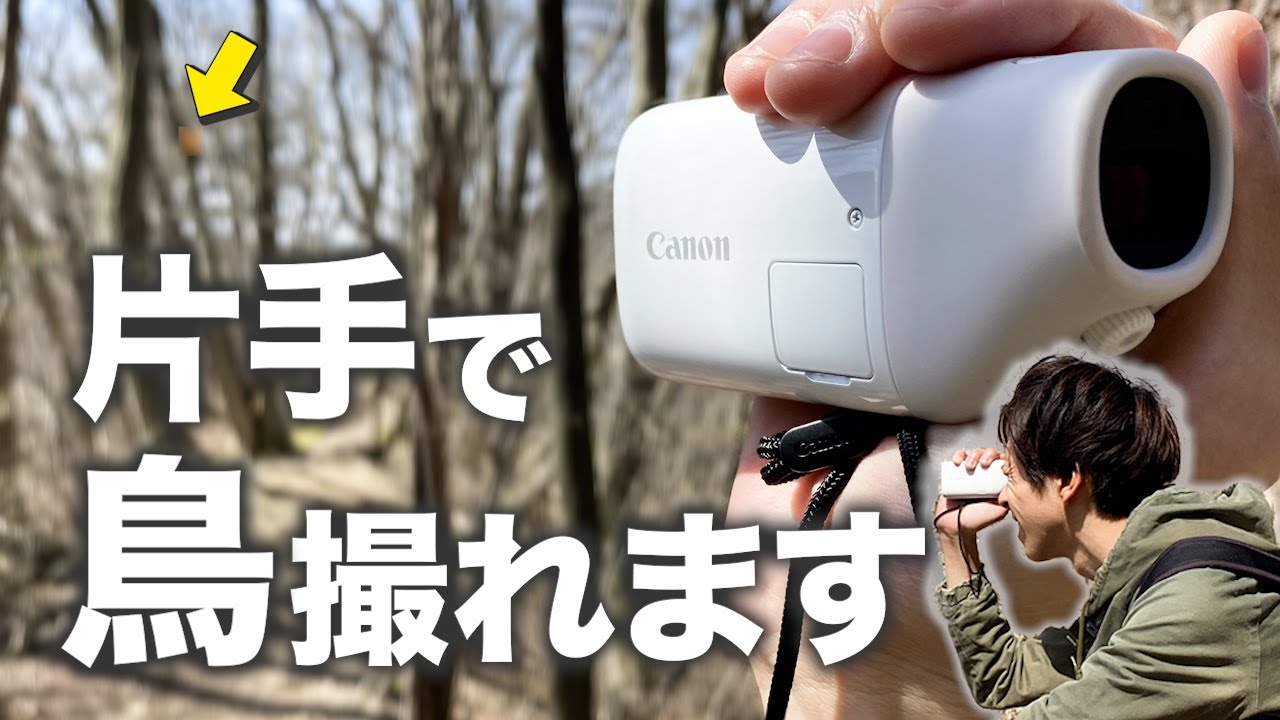 どこでも使える】手軽な野鳥撮影の頂点に辿り着きました《Canon
