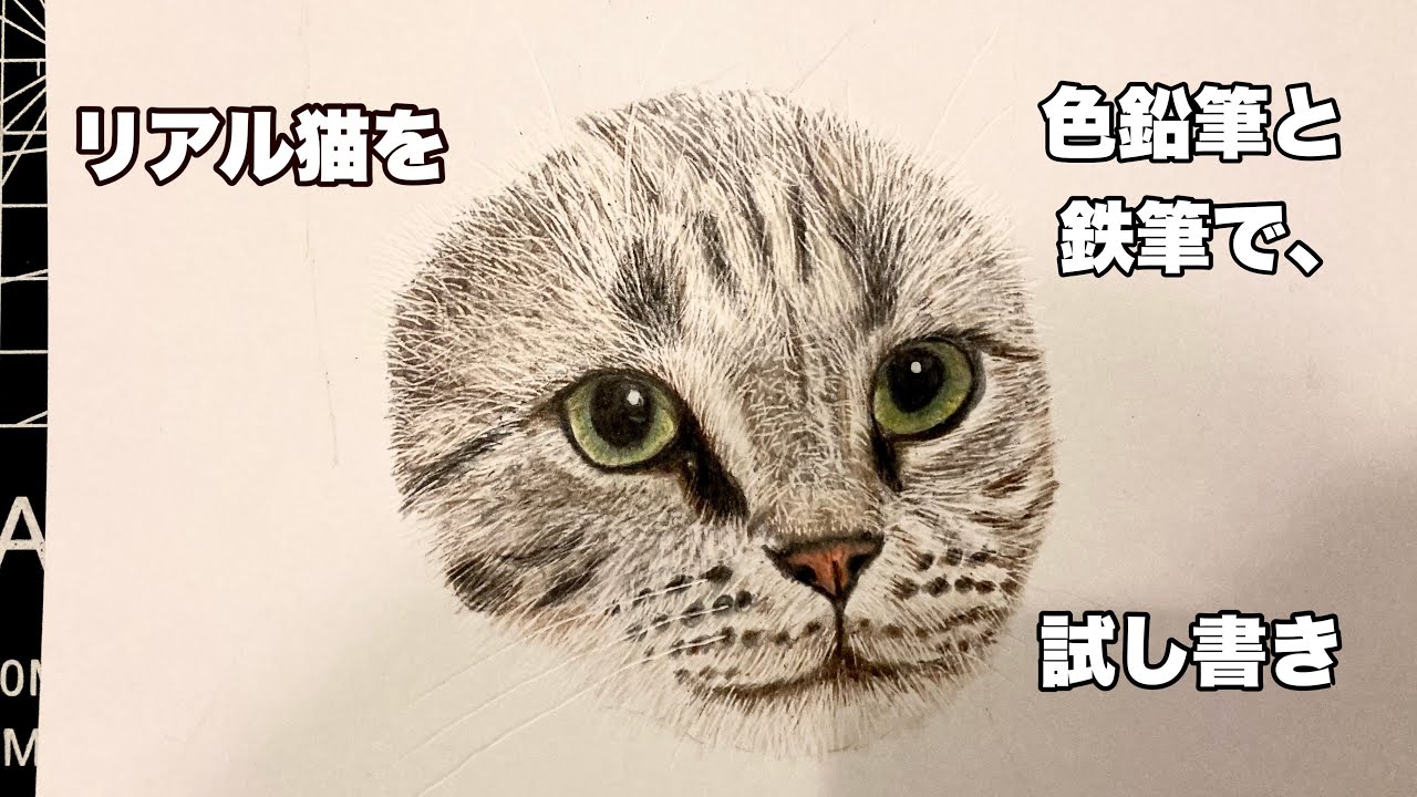 リアル猫】猫を、プリズマカラー(カリスマカラー)色鉛筆と鉄筆で試し