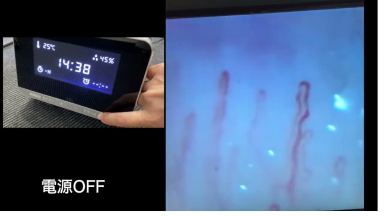 DENBA Health ハイグレード | 株式会社プレバンク