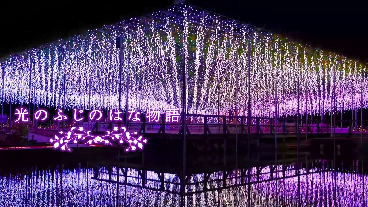 光の花の庭 Flower Fantasy 2025-2026 | あしかがフラワーパーク