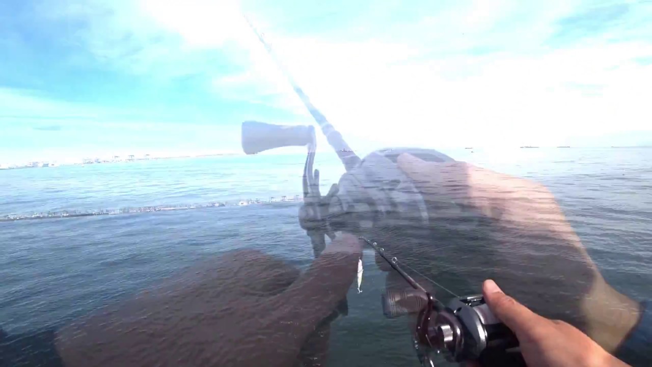 トランスセンデンス レイトブルーミングス 510+ Rev2.0 【シーバス