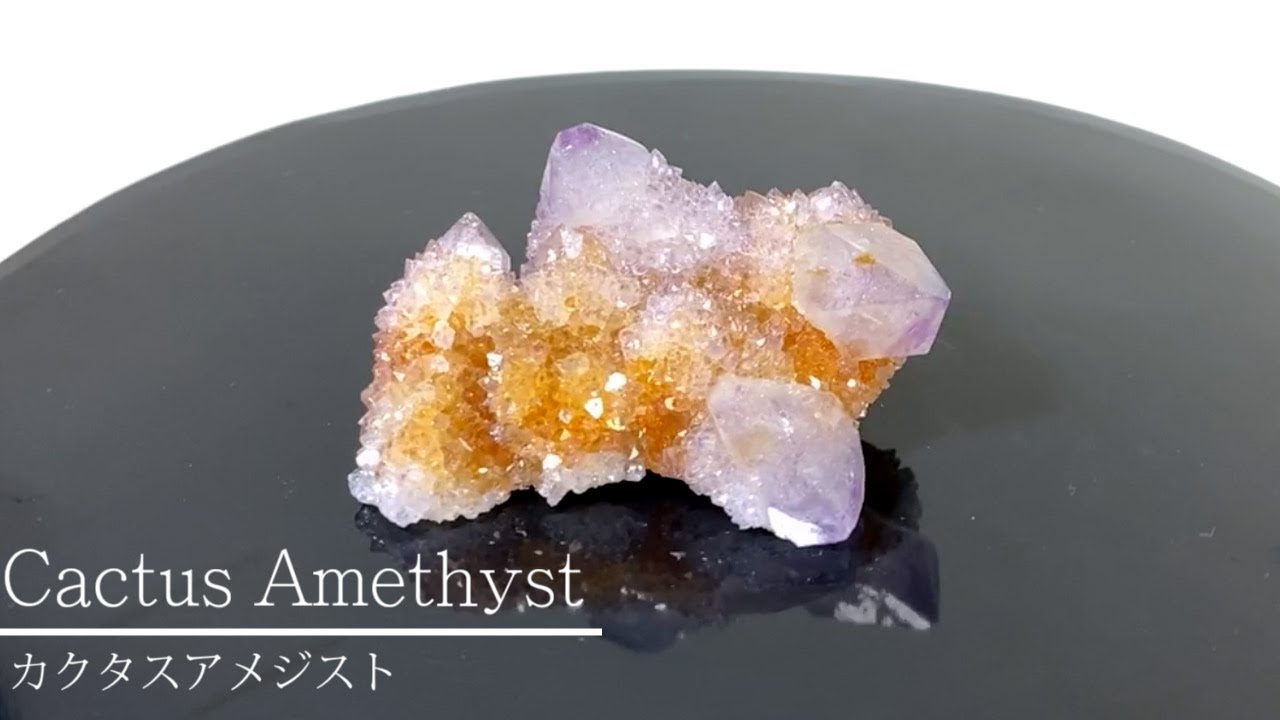 岡山のパワーストーン、風水・開運グッズのお店 龍祥本舗 / カクタス