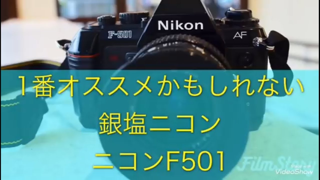 かなりお勧めなフイルムカメラ、ニコンF501 銀塩写真 一眼レフ F