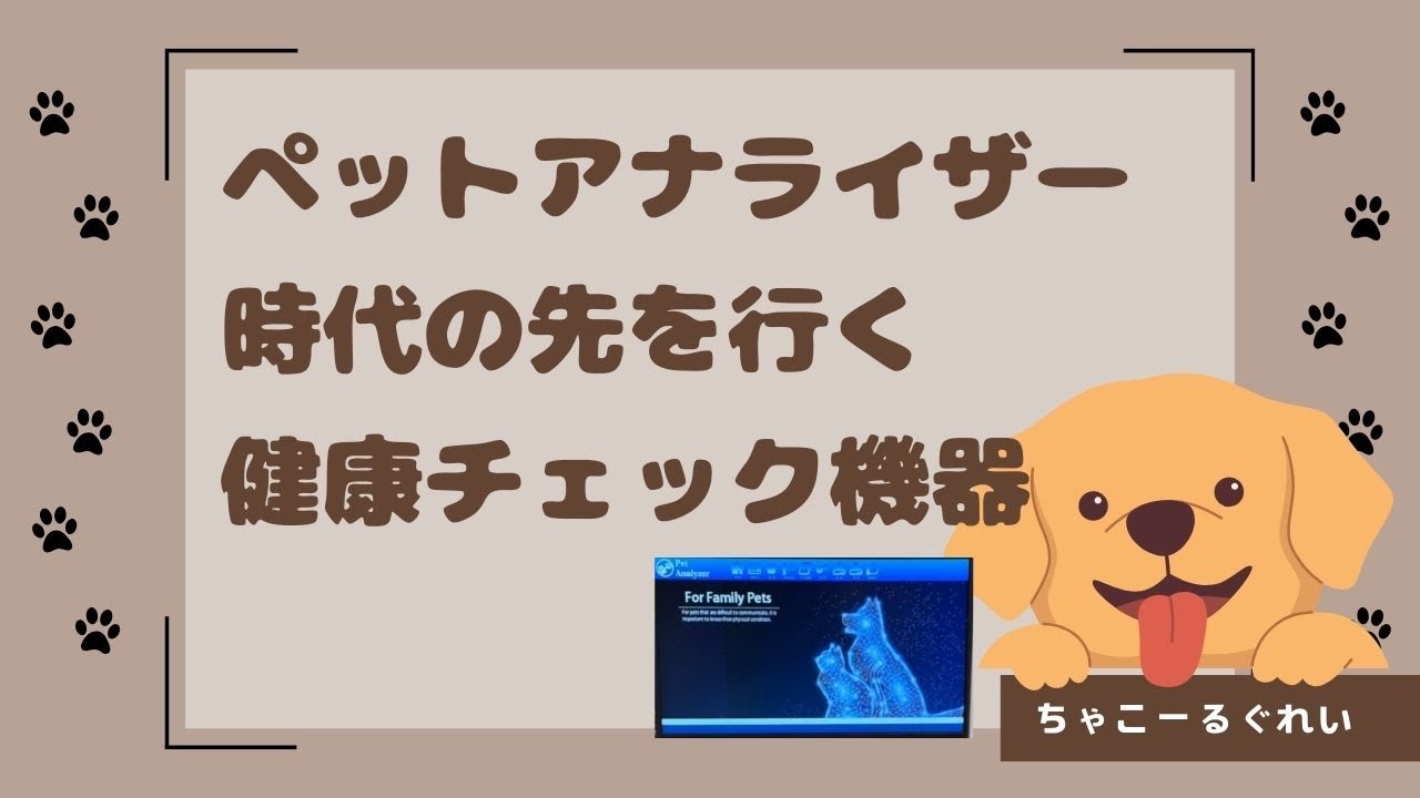 ペットアナライザー 導入しました！｜ちゃこーるぐれい 〜ペットのため