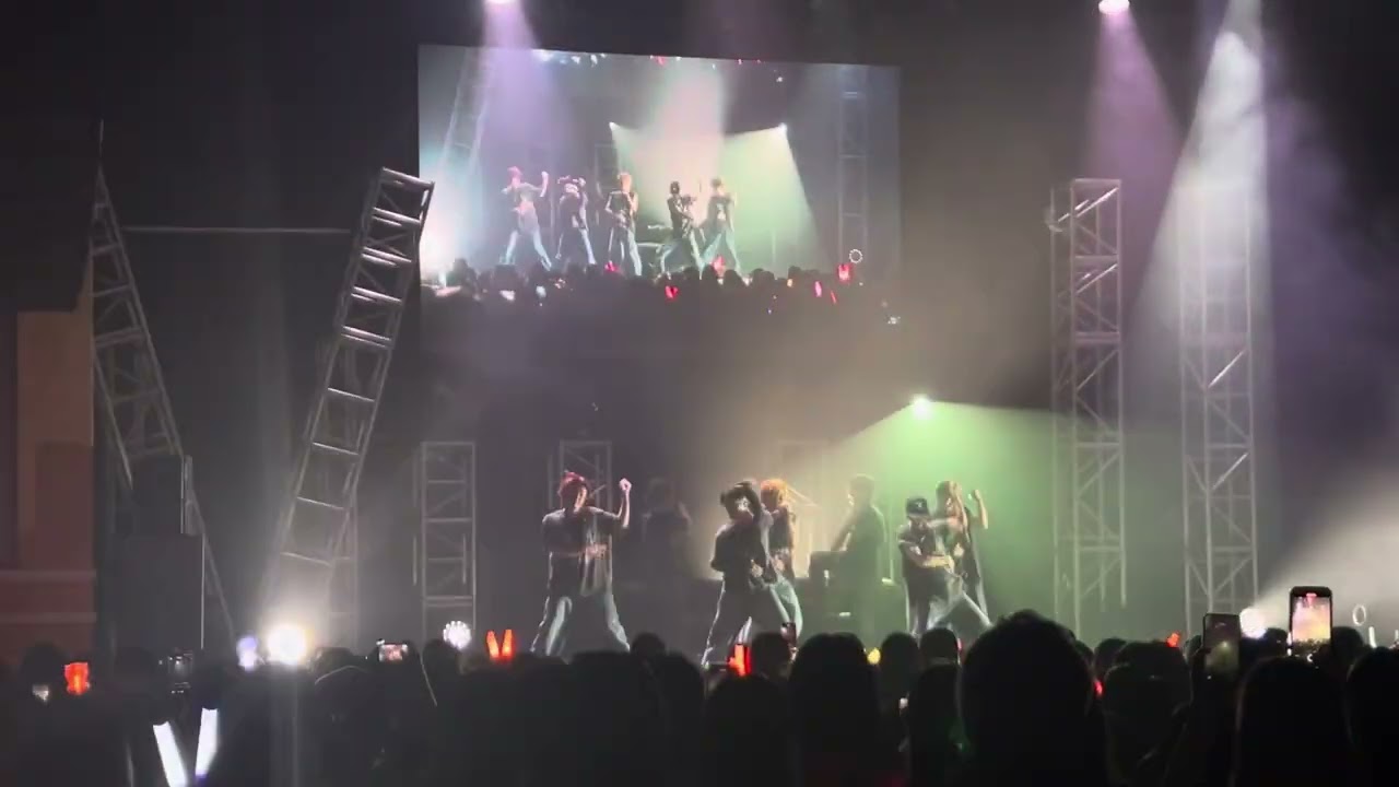 Travis Japan Concert Tour 2025 VIIsual @Grove of Anaheim CA - July