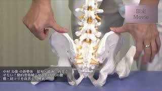 新整体 最短・最速・再発させない！動的骨格矯正法 | 医療情報研究所