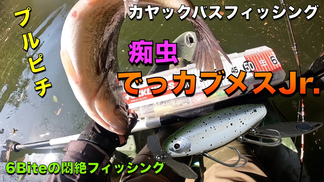 白菜のカヤックバスフィッシング#113 痴虫 でっカブメスJr. - YouTube