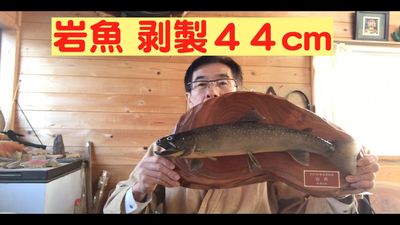 岩魚剥製42cm - YouTube
