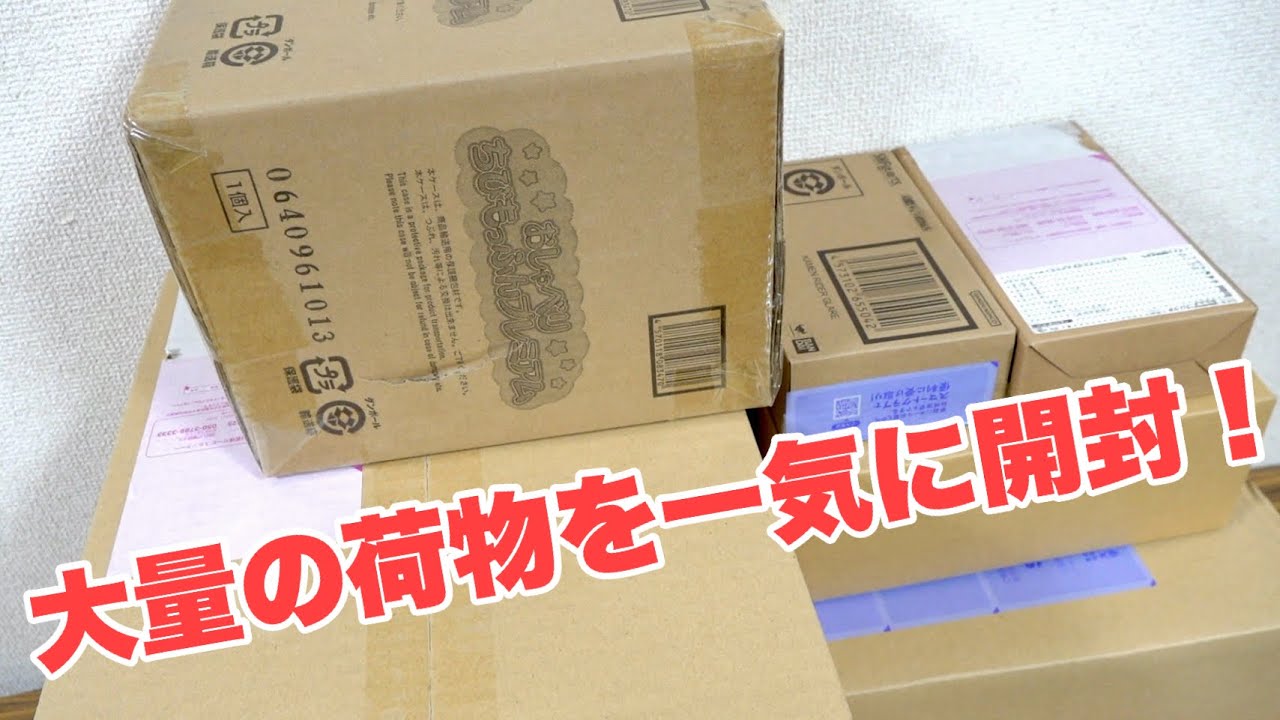 The day before the Bujin Sword arrived, a huge package arrived