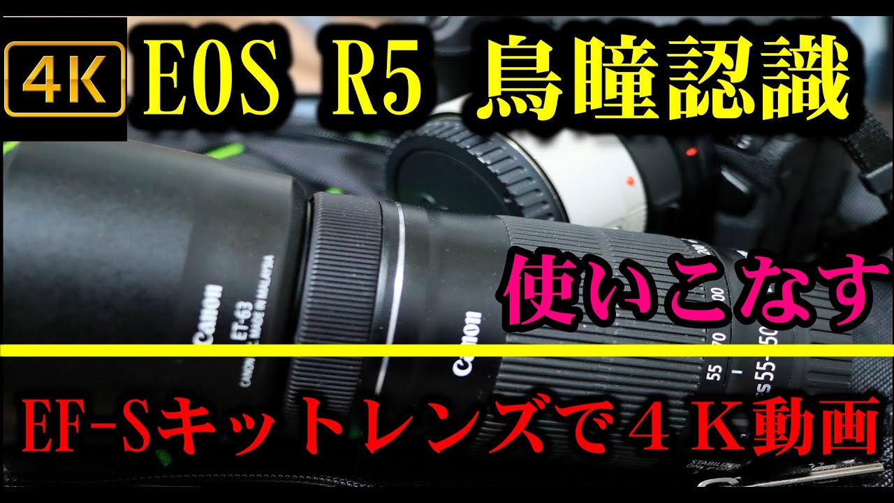 Bird eye recognition AF and 4K video recording using the EOS R5