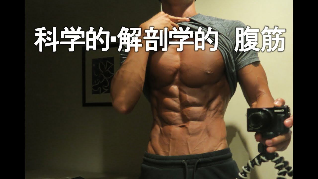 How to get six-pack abs [Scientific anatomical approach] Part 1