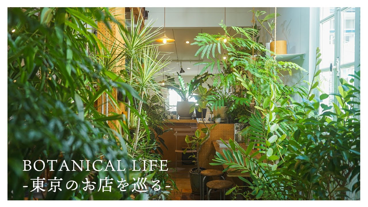 植物好きが巡る東京で見つけた素敵なお店をご紹介｜under the mat