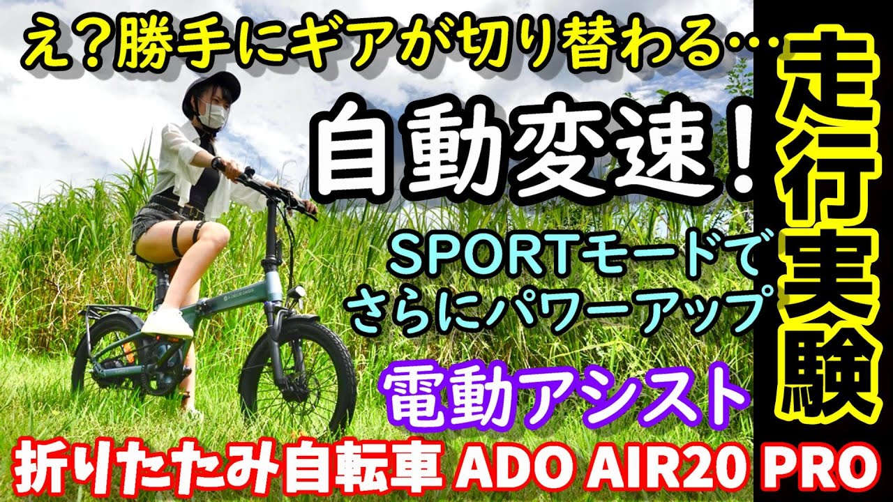 初心者向け購入ガイド