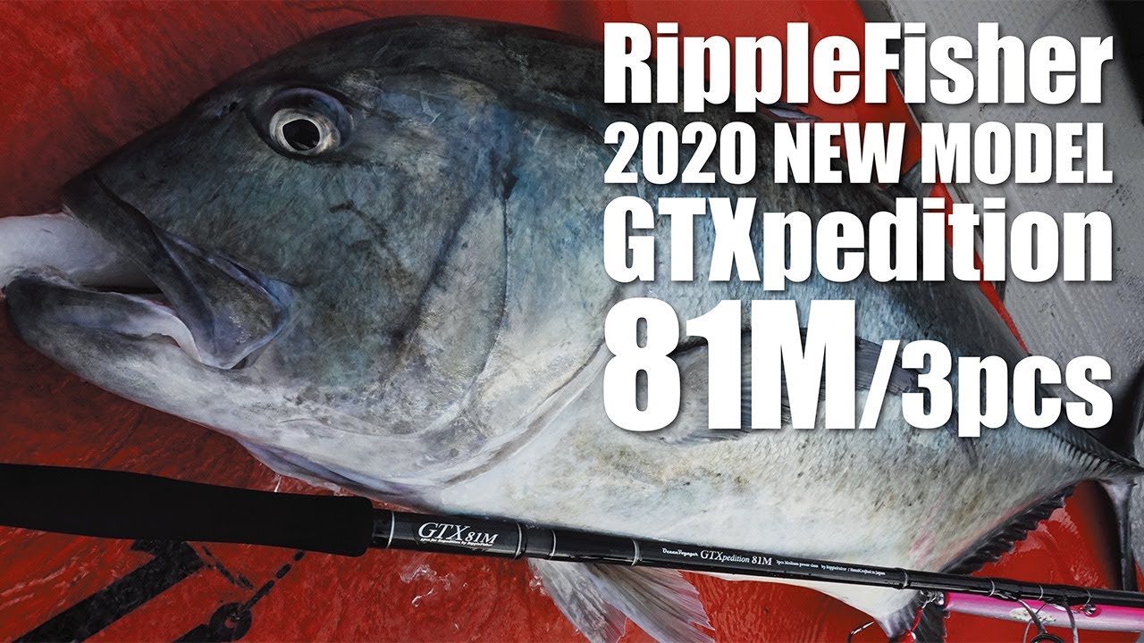 2020 New GTXpedition 81M / 3pcs GT & Kingfish Casting Game vol.1