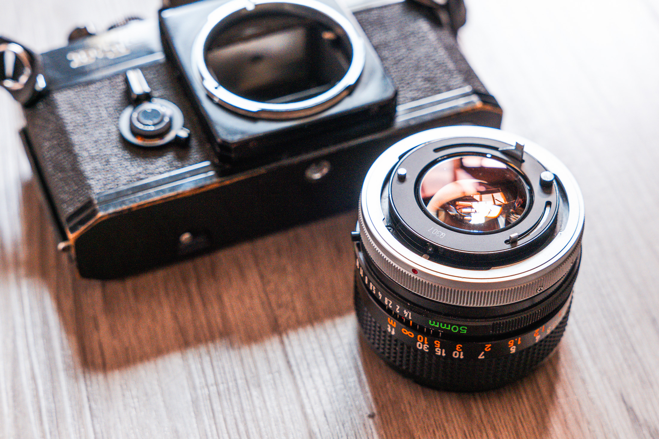 Canon FD 50mm f/1.4 S.S.C Lens Review - Casual Photophile