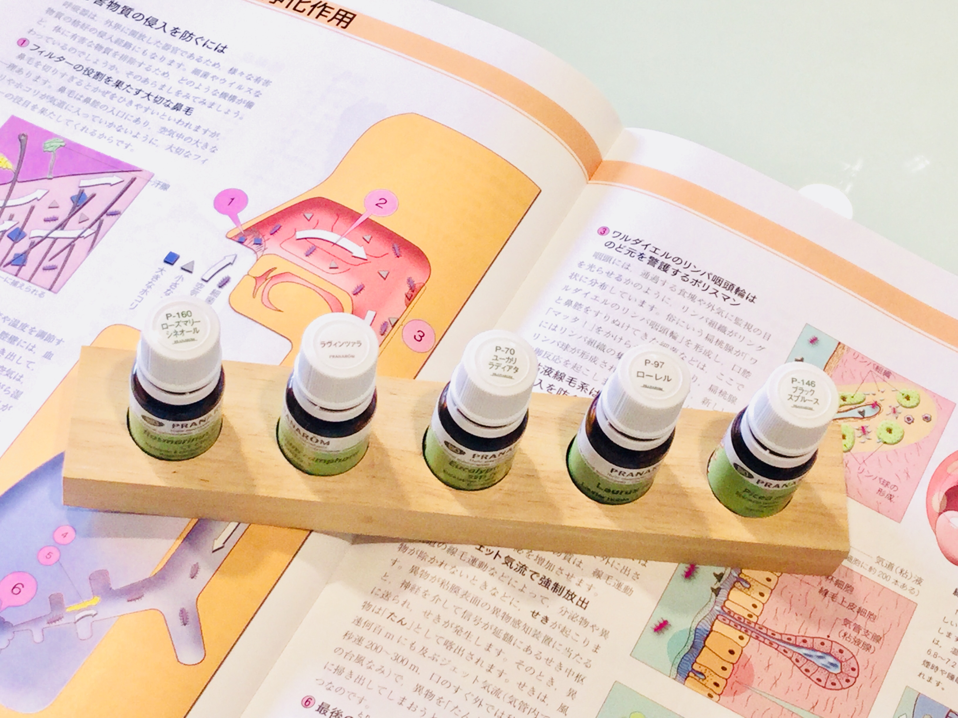 NARD JAPAN（ナード・アロマテラピー協会）認定資格取得講座 | 横浜