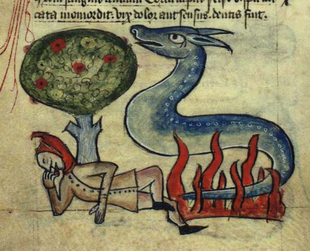 Un bestiario de la prehistoria ペトログリフ Un bestiario de la