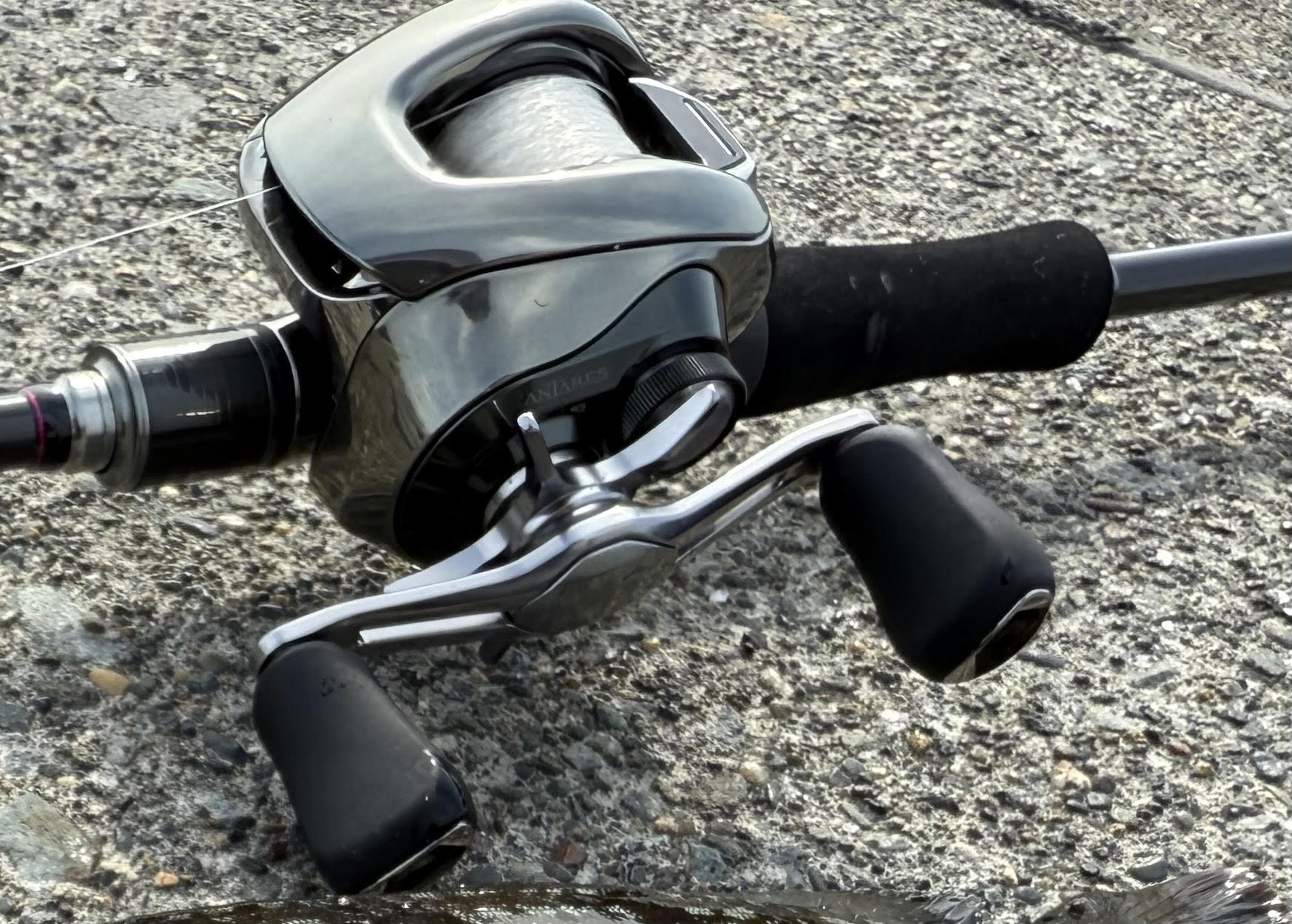 シマノ】25アンタレス 101XG インプレッション【レビュー】 | Angler+