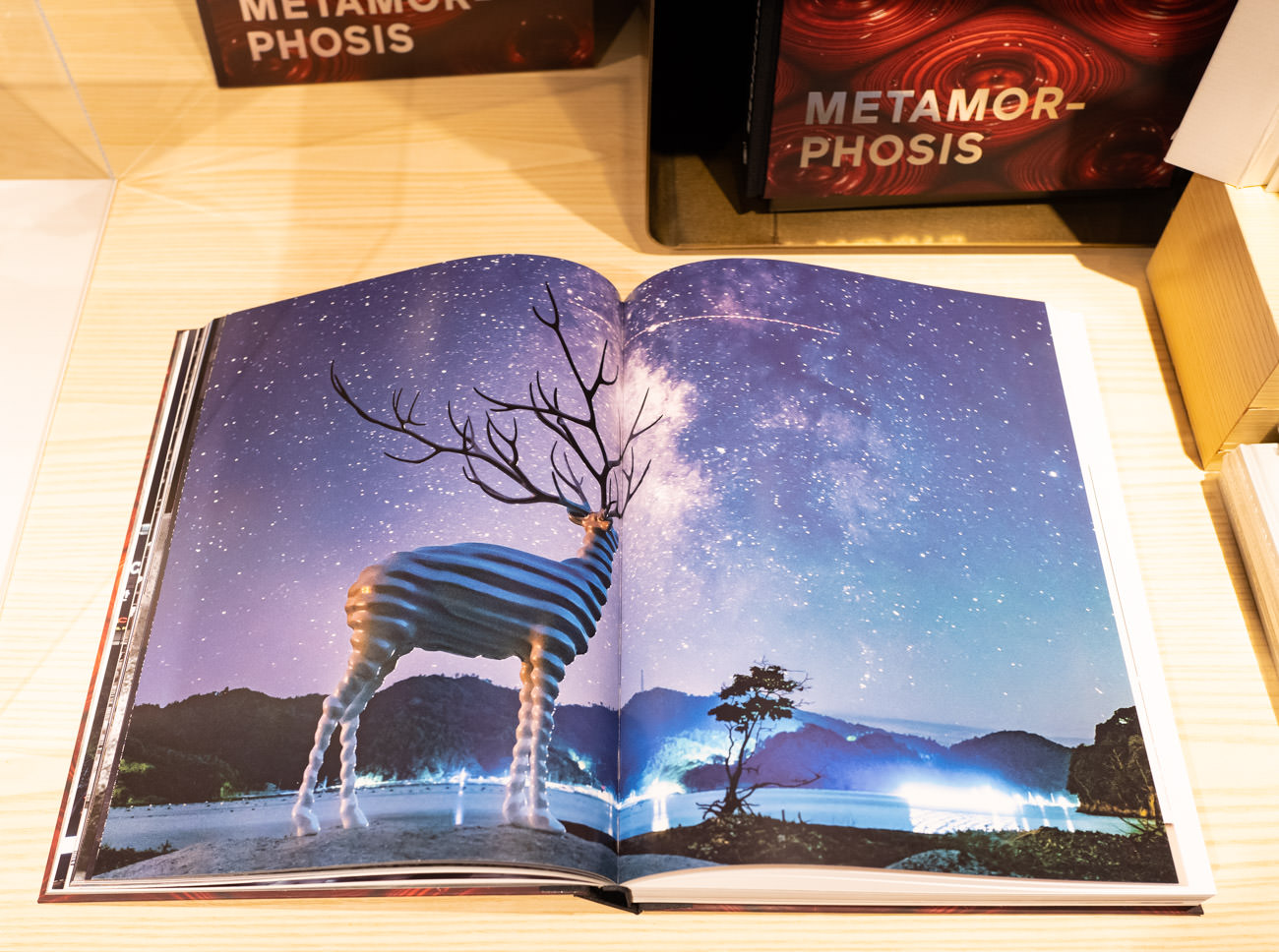 特装版がスゴい！】名和晃平 限定版作品集『METAMORPHOSIS』の