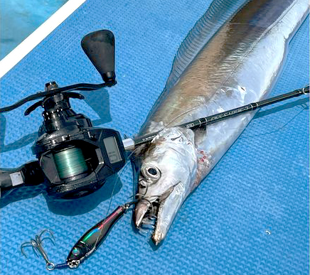 小粒なジグと飛ばさない誘い】東京湾タチウオジギングにマッチするジグ