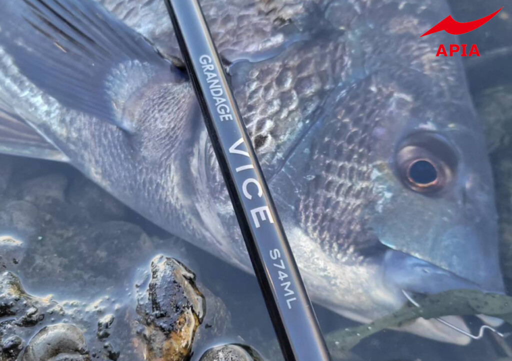 333.jpg?fit=1024,722&ssl=1