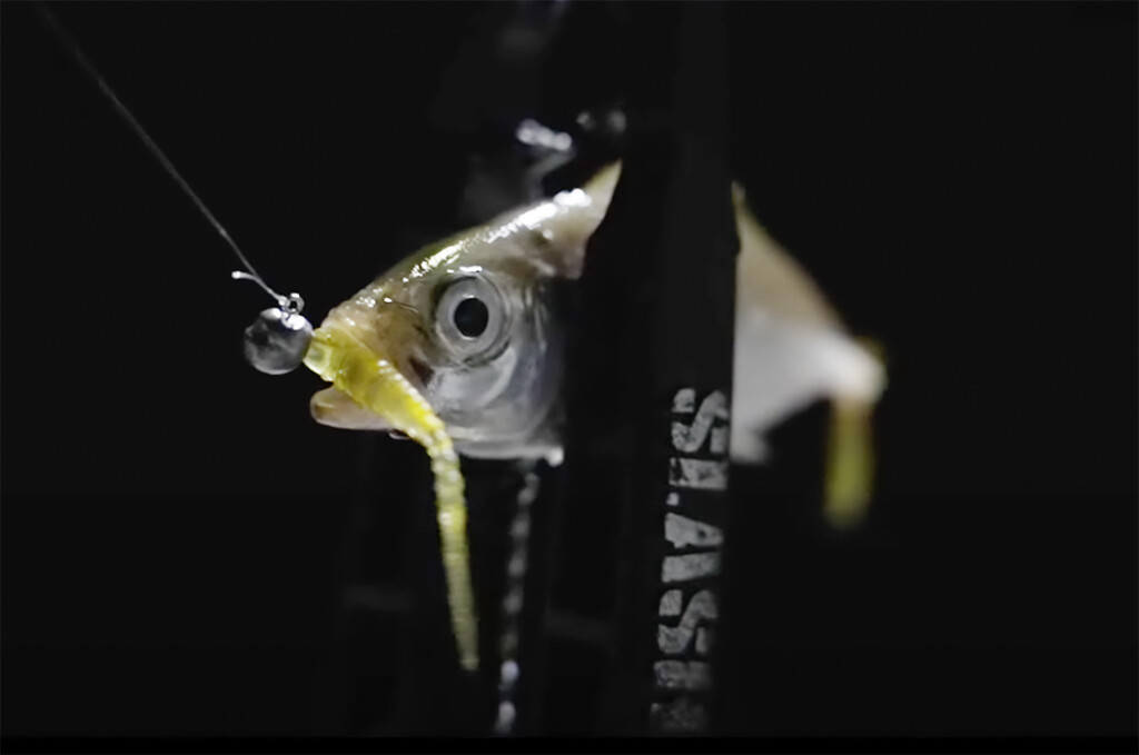 まるでソナー！？ 水中の変化を目で捉えるかのように感じるという挑戦