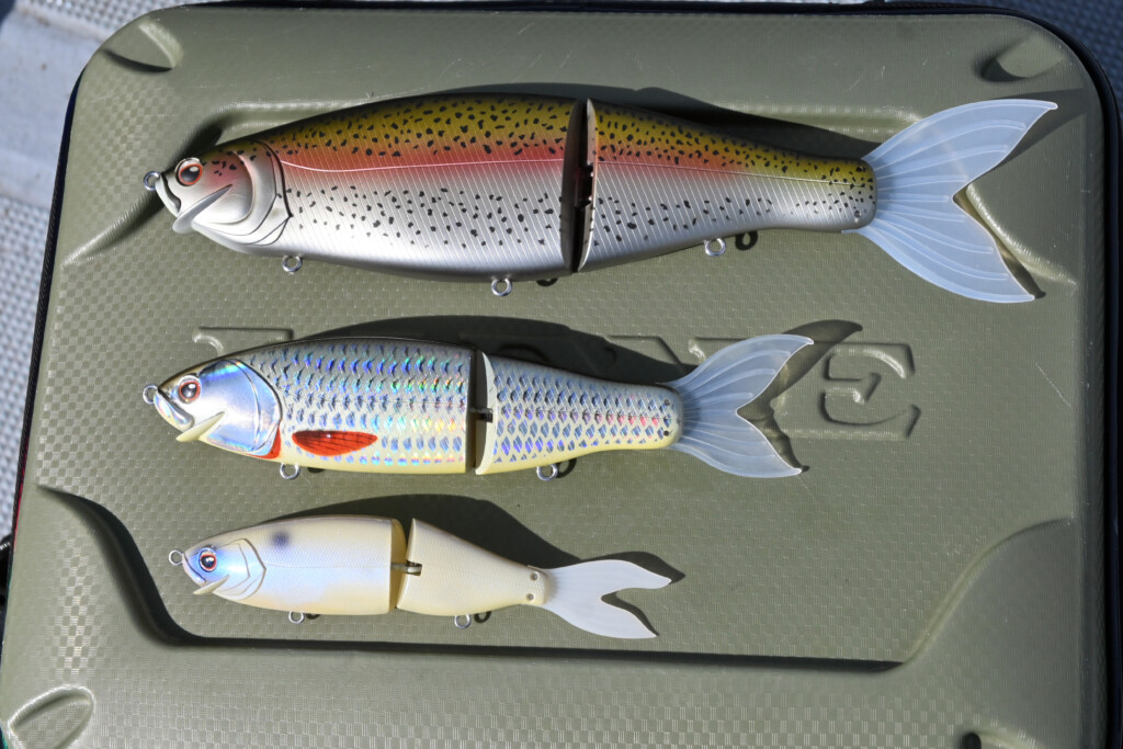 2026年注目のビッグベイト】このサイズ感を待ってた！「ラフィン250