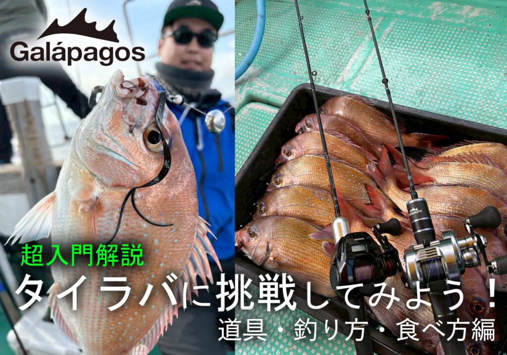 超入門解説】狙うは天然マダイ！今年は「タイラバ」に挑戦してみよう