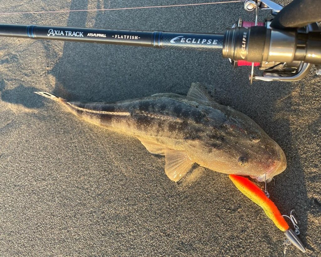 サーフフィネスに対応！エクリプスの「AXIA TRACK フラットフィッシュ