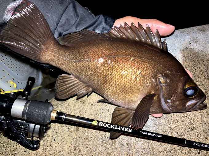 ロックライバー1G ライトゲーム】メバリングに！身近なライトゲームに