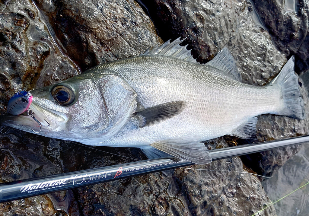 超々遠投モデル】ヤマガブランクスの挑戦。特別な一本「バリスティック