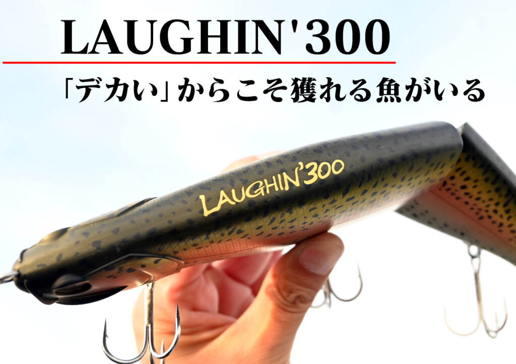 LAUGH300.jpg?fit=1024,722&ssl=1